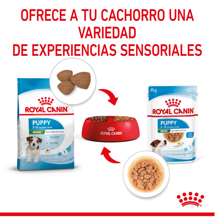 Royal Canin Mini Puppy comida húmeda para cachorro de razas tamaño pequeño