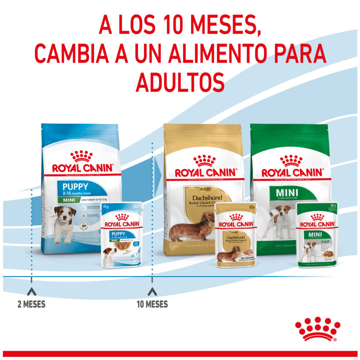 Royal Canin Mini Puppy comida húmeda para cachorro de razas tamaño pequeño