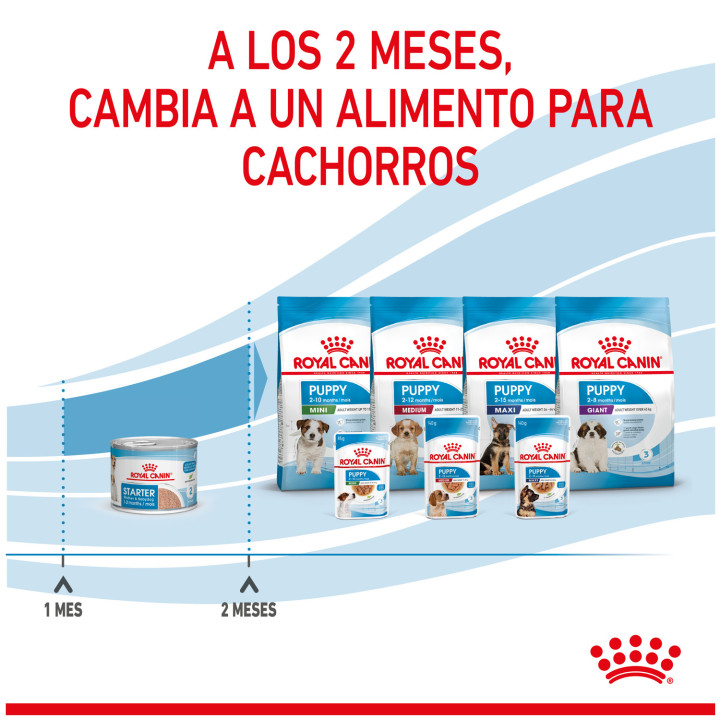 Comida húmeda para perros Royal Canin Health Nutrition Húmedo Starter Mousse - Kompymascotas