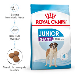 Royal Canin Giant Junior pienso para cachorro - Kompymascotas