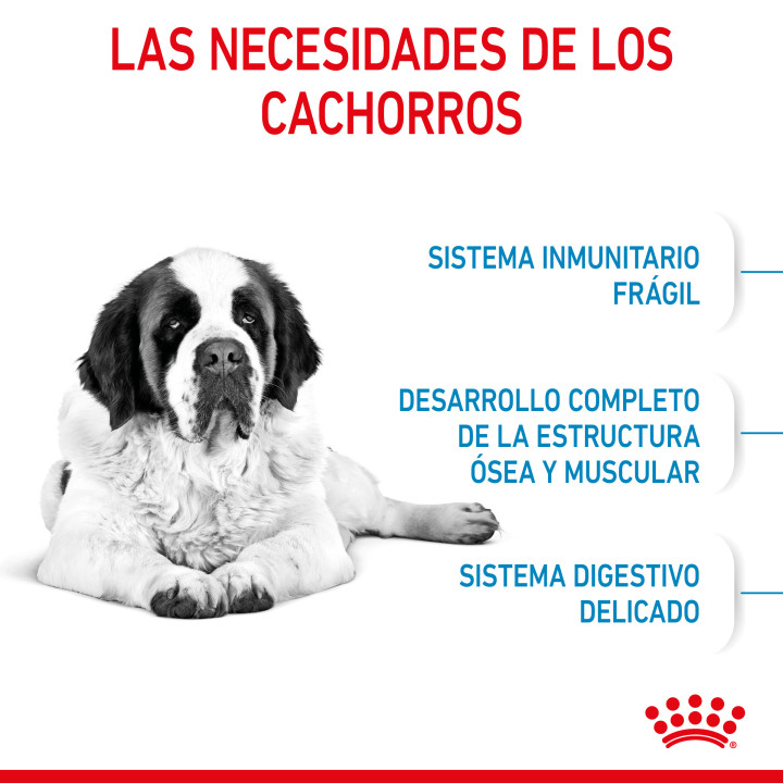 Royal Canin Giant Junior pienso para cachorro - Kompymascotas