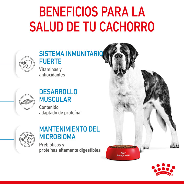 Royal Canin Giant Junior pienso para cachorro - Kompymascotas