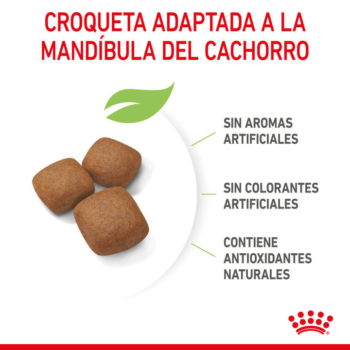 Royal Canin Giant Junior pienso para cachorro - Kompymascotas