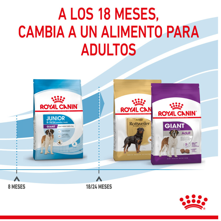 Royal Canin Giant Junior pienso para cachorro - Kompymascotas