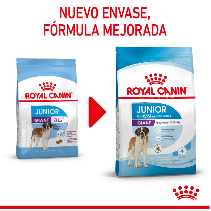 Royal Canin Giant Junior pienso para cachorro - Kompymascotas