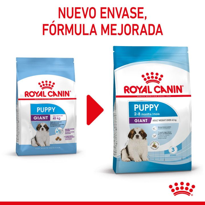 Royal Canin Giant Puppy pienso para cachorro - Kompymascotas