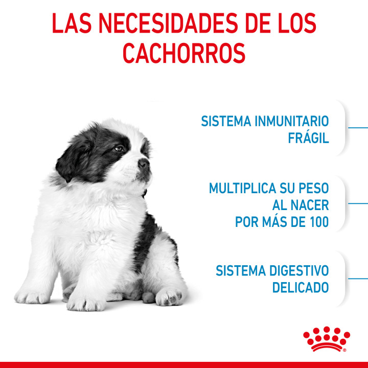 Royal Canin Giant Puppy pienso para cachorro - Kompymascotas