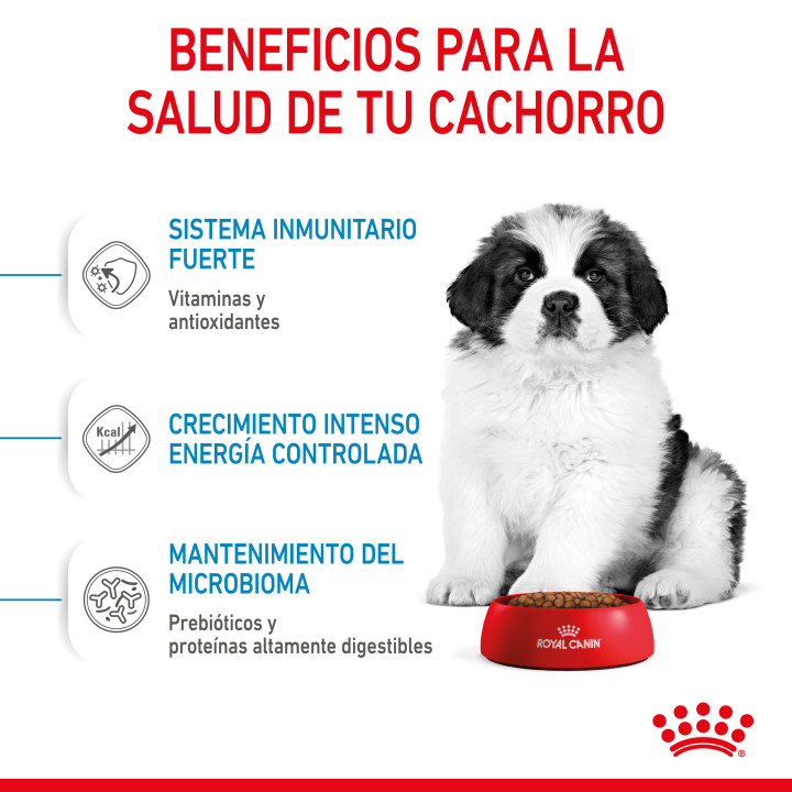 Royal Canin Giant Puppy pienso para cachorro - Kompymascotas