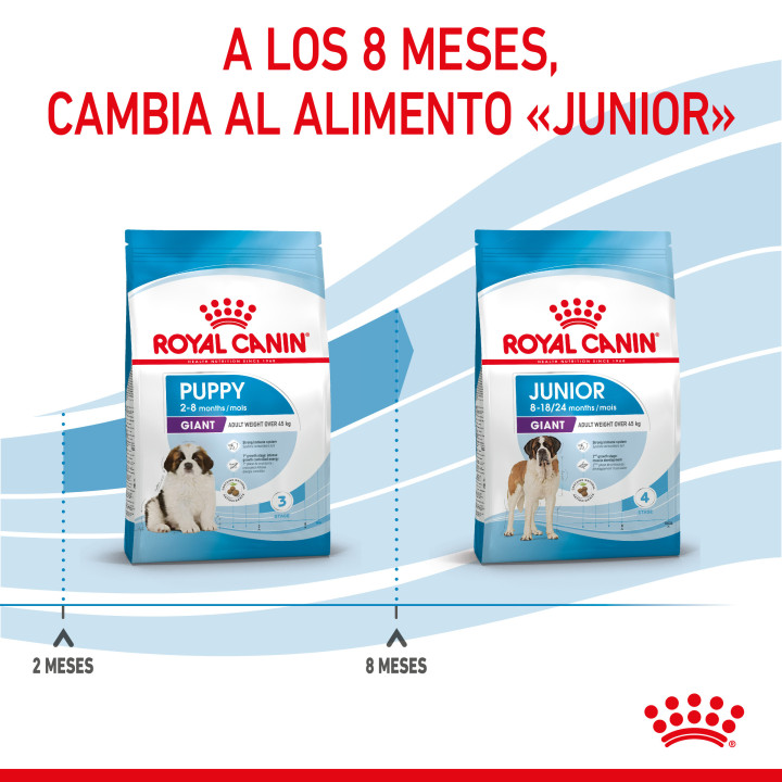 Royal Canin Giant Puppy pienso para cachorro - Kompymascotas