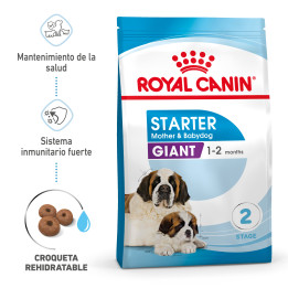 Royal Canin Giant Starter Mother & Babydog pienso para cachorro - Kompymascotas
