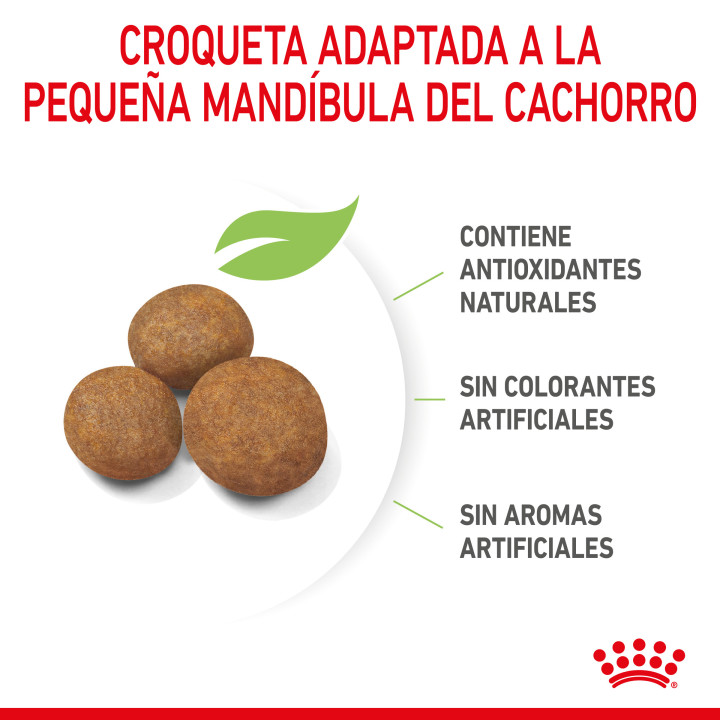 Royal Canin Maxi Puppy pienso para cachorro - Kompymascotas