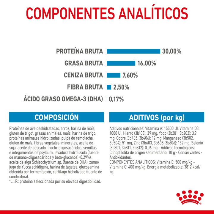Royal Canin Maxi Puppy pienso para cachorro - Kompymascotas