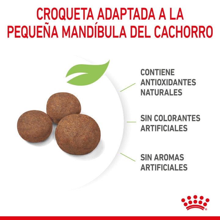 Royal Canin Medium Puppy pienso para cachorro - Kompymascotas