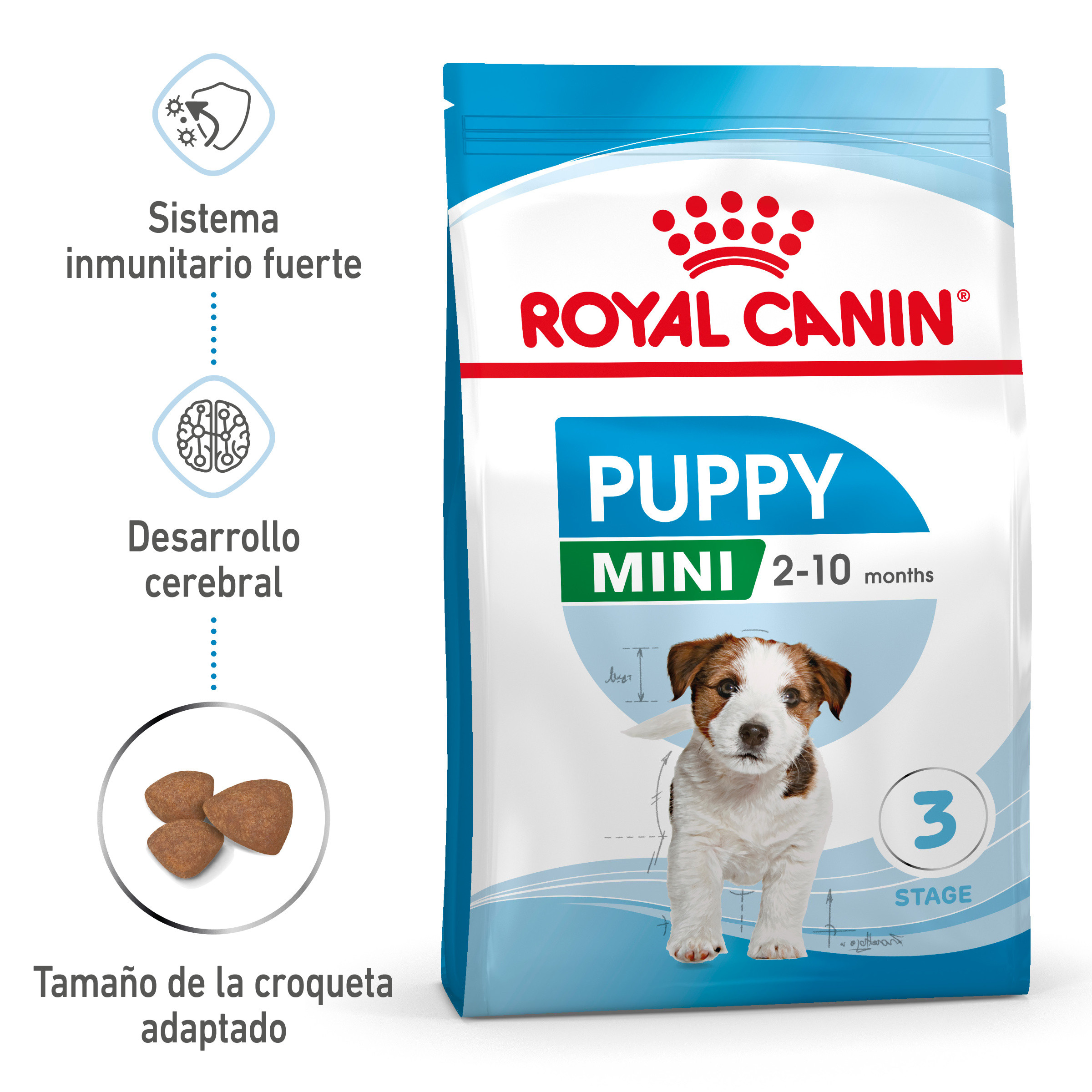 Cachorro o gatito