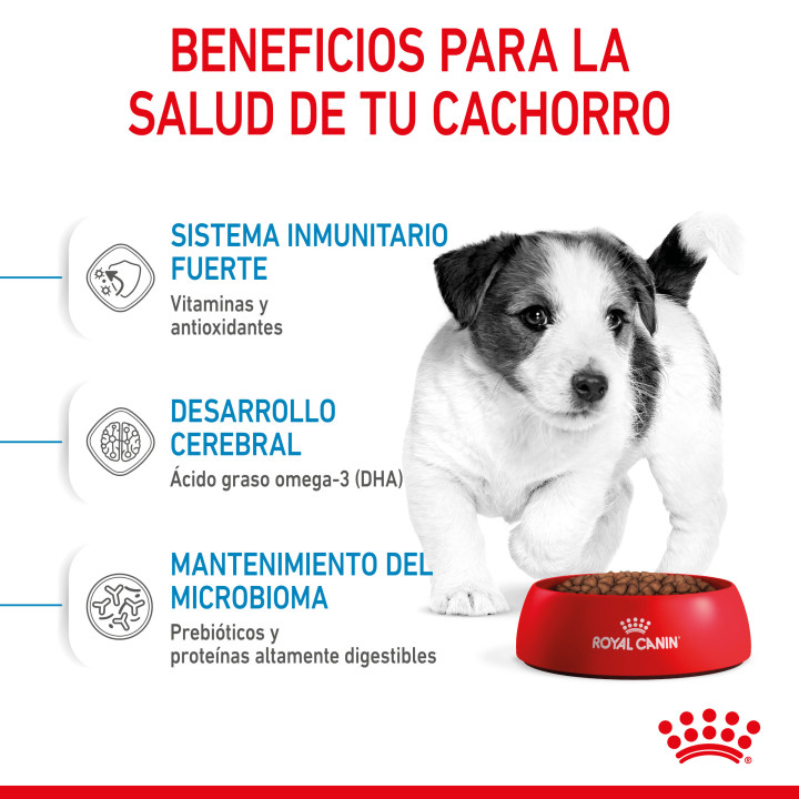 Royal Canin Mini Puppy pienso para cachorros - Kompymascotas