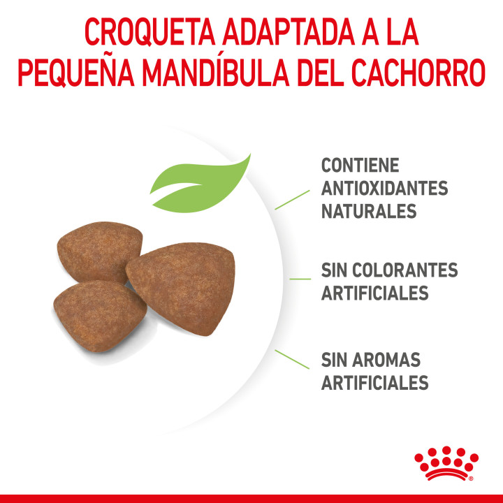 Royal Canin Mini Puppy pienso para cachorros - Kompymascotas