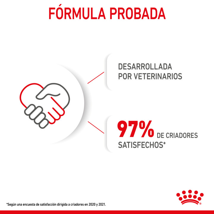 Royal Canin Mini Puppy pienso para cachorros - Kompymascotas