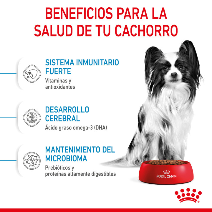 Royal Canin X-Small Puppy pienso para cachorro - Kompymascotas