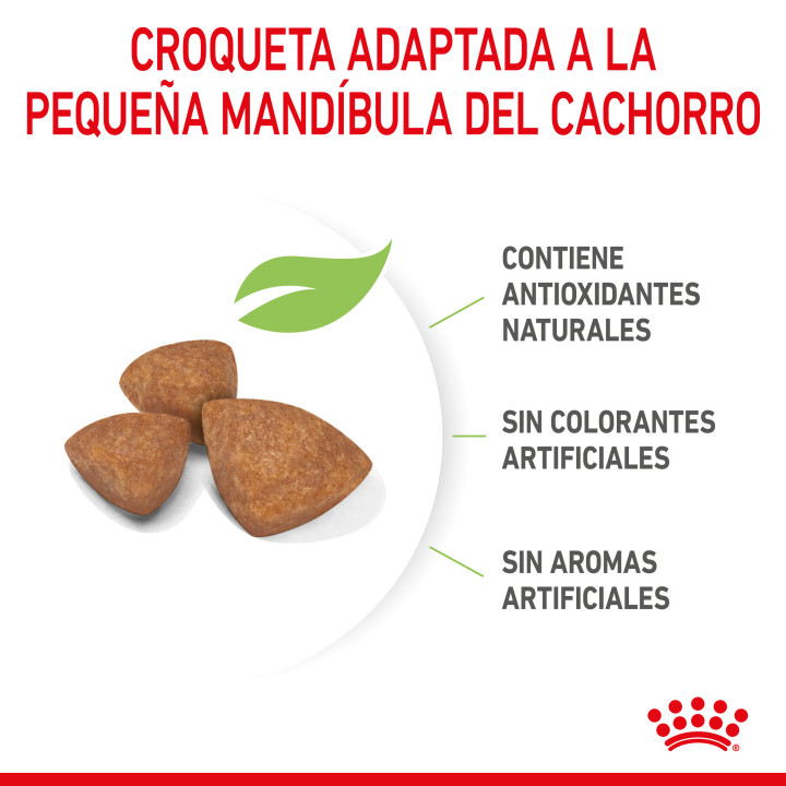 Royal Canin X-Small Puppy pienso para cachorro - Kompymascotas
