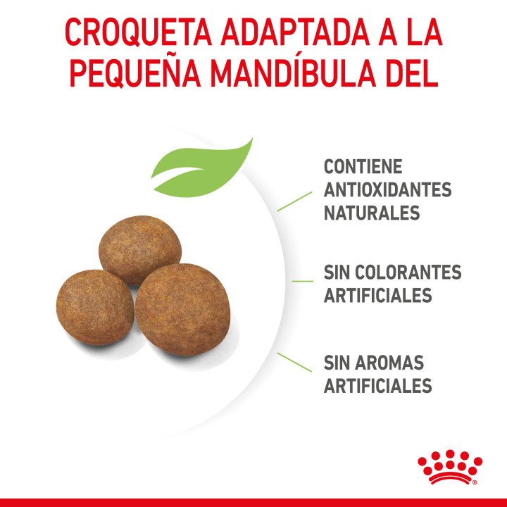 Royal Canin Giant Starter Mother & Babydog pienso para cachorro - Kompymascotas