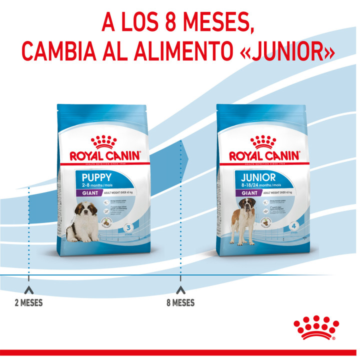 Royal Canin Giant Starter Mother & Babydog pienso para cachorro - Kompymascotas
