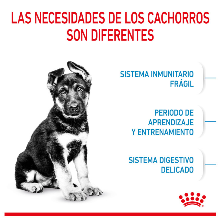 Royal Canin Maxi Puppy pienso para cachorro - Kompymascotas