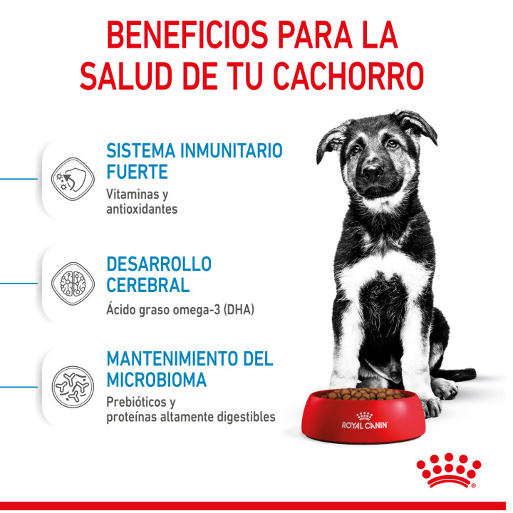 Royal Canin Maxi Puppy pienso para cachorro - Kompymascotas