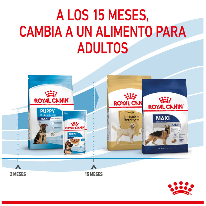Royal Canin Maxi Puppy pienso para cachorro - Kompymascotas