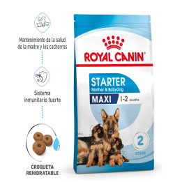 Royal Canin Maxi Starter Mother&Babydog pienso para cachorro -Kompymascotas