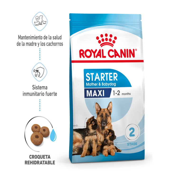 Royal Canin Maxi Starter Mother&Babydog pienso para cachorro -Kompymascotas