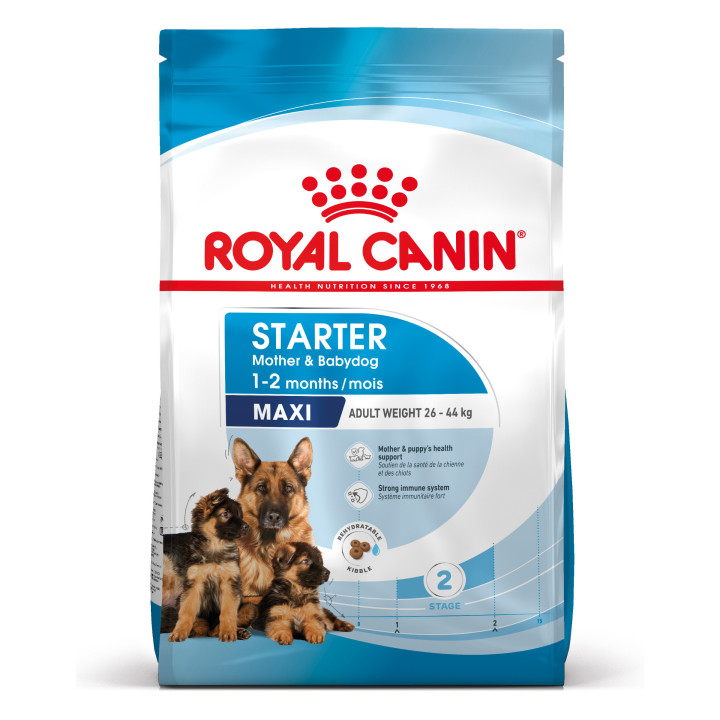 Royal Canin Maxi Starter Mother&Babydog pienso para cachorro -Kompymascotas