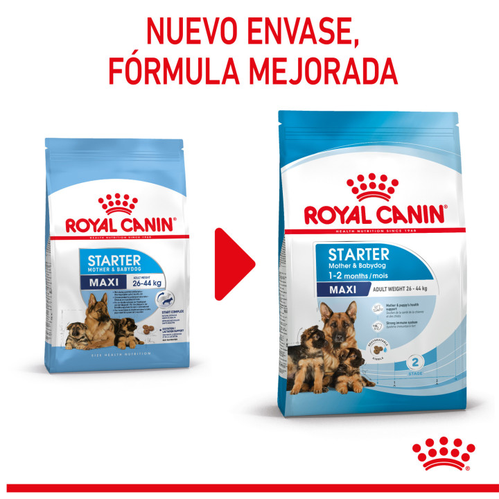 Royal Canin Maxi Starter Mother&Babydog pienso para cachorro -Kompymascotas