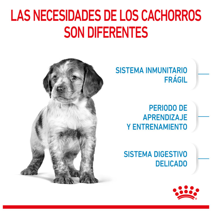 Royal Canin Medium Puppy pienso para cachorro - Kompymascotas