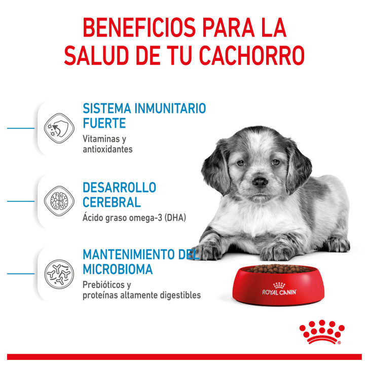 Royal Canin Medium Puppy pienso para cachorro - Kompymascotas