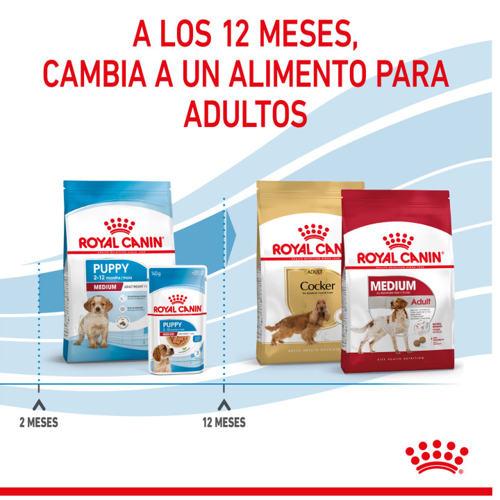 Royal Canin Medium Puppy pienso para cachorro - Kompymascotas