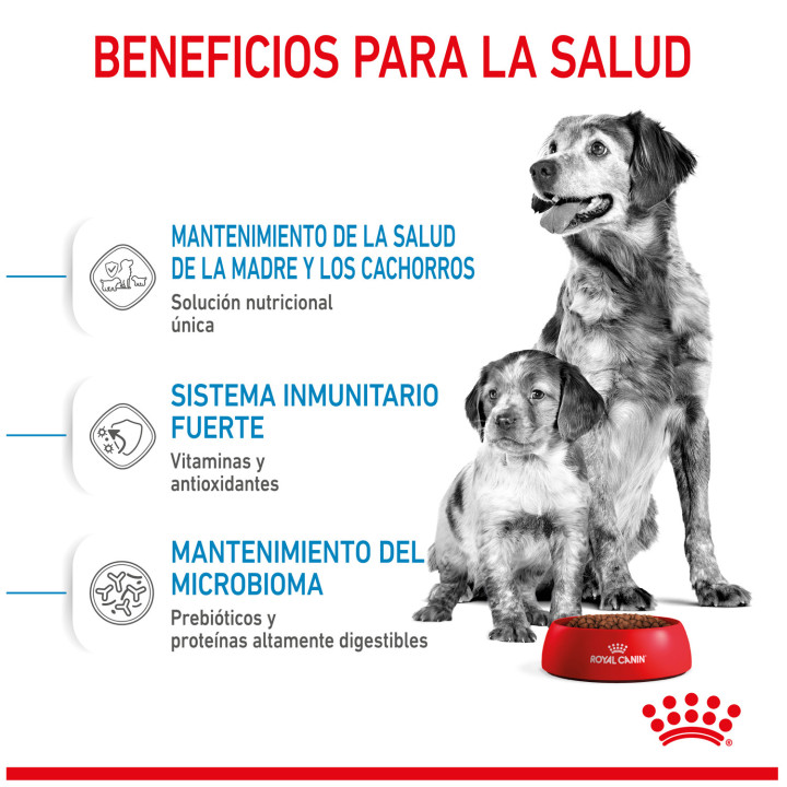 Royal Canin Medium Starter Mother&Babydog pienso para cachorro - Kompymascotas