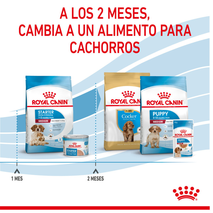 Royal Canin Medium Starter Mother&Babydog pienso para cachorro - Kompymascotas