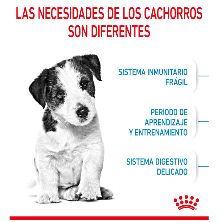 Royal Canin Mini Puppy pienso para cachorros - Kompymascotas