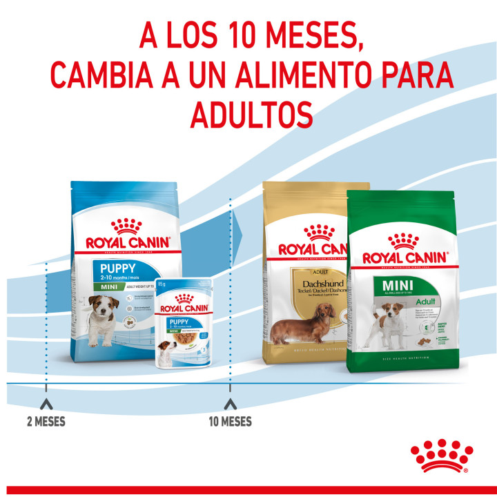 Royal Canin Mini Puppy pienso para cachorros - Kompymascotas