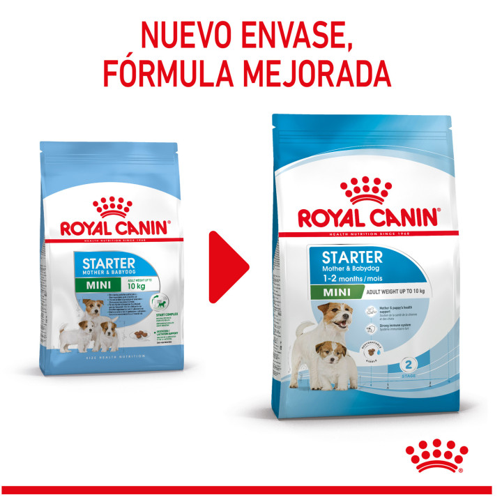Royal Canin Mini Starter Mother&Babydog pienso para cachorro - Kompymascotas