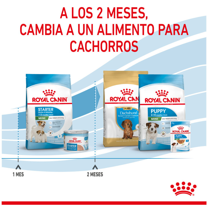 Royal Canin Mini Starter Mother&Babydog pienso para cachorro - Kompymascotas