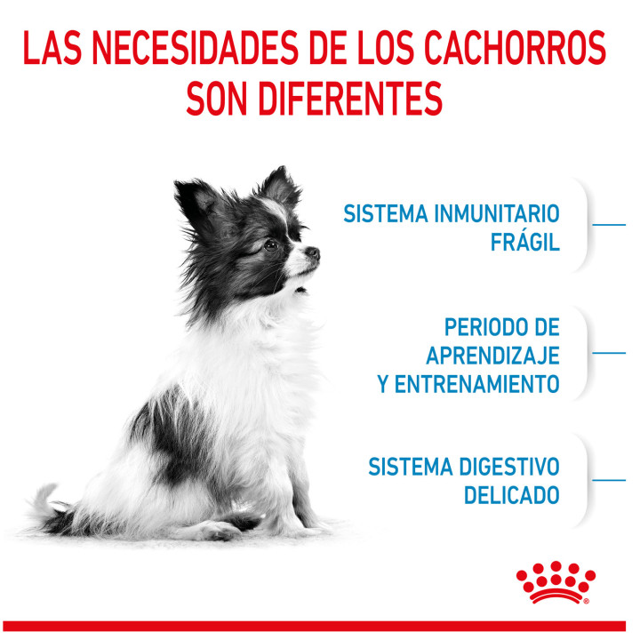 Royal Canin X-Small Puppy pienso para cachorro - Kompymascotas