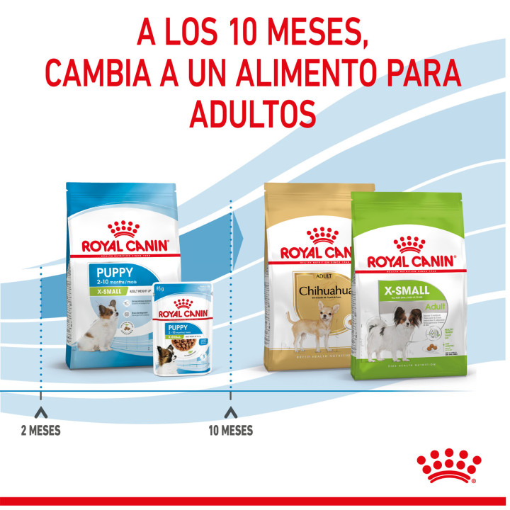 Royal Canin X-Small Puppy pienso para cachorro - Kompymascotas