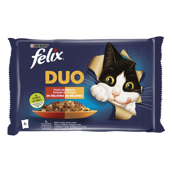 Purina Félix Fantistic Duo delicious con Carne