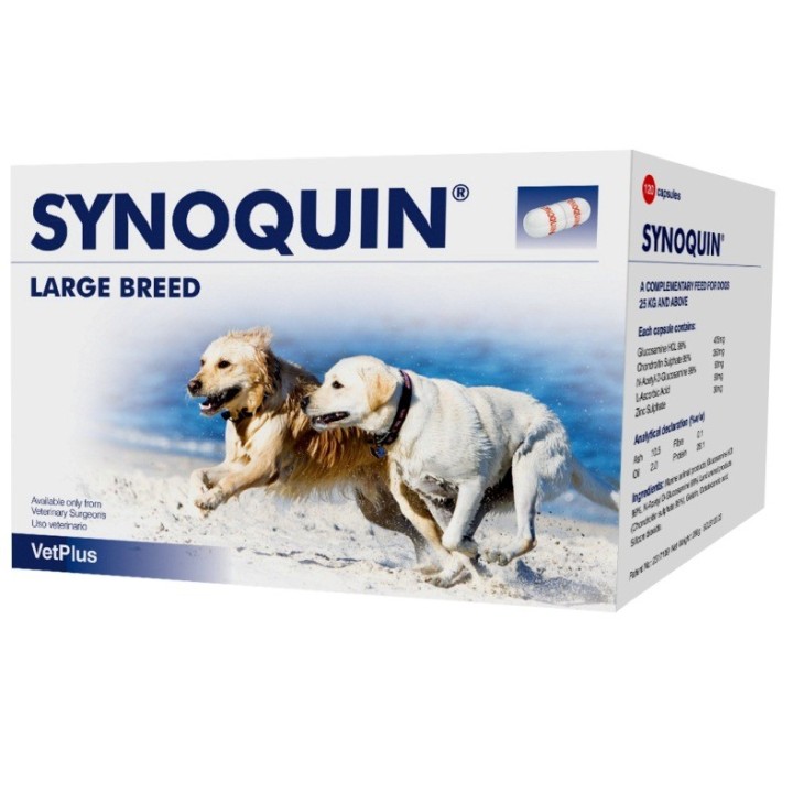 Synoquin Razas grandes, complemento nutricional