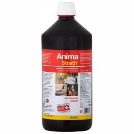 Anima Strath, complemento nutricional para perros - Kompymascotas
