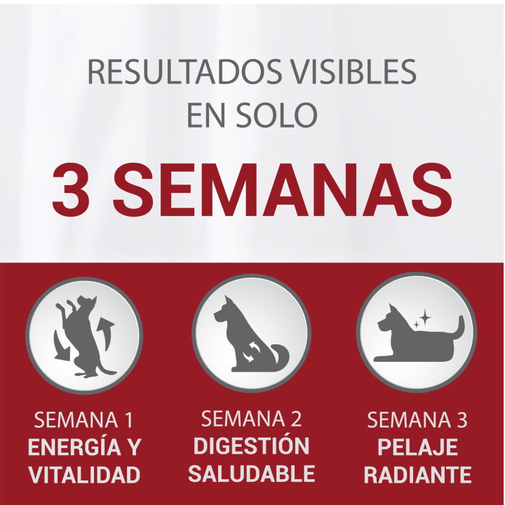 Purina One Mini Active Pollo y Arroz, Pienso y Comida Húmeda - Kompymascotas