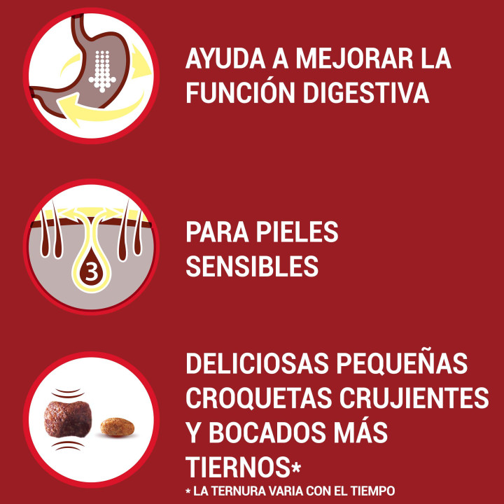 Purina One Mini Delicate Salmón y Arroz , Pienso y Comida Húmeda - Kompymascotas
