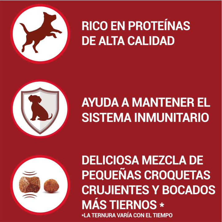 PURINA ONE MINI Perro Active Pollo y Arroz