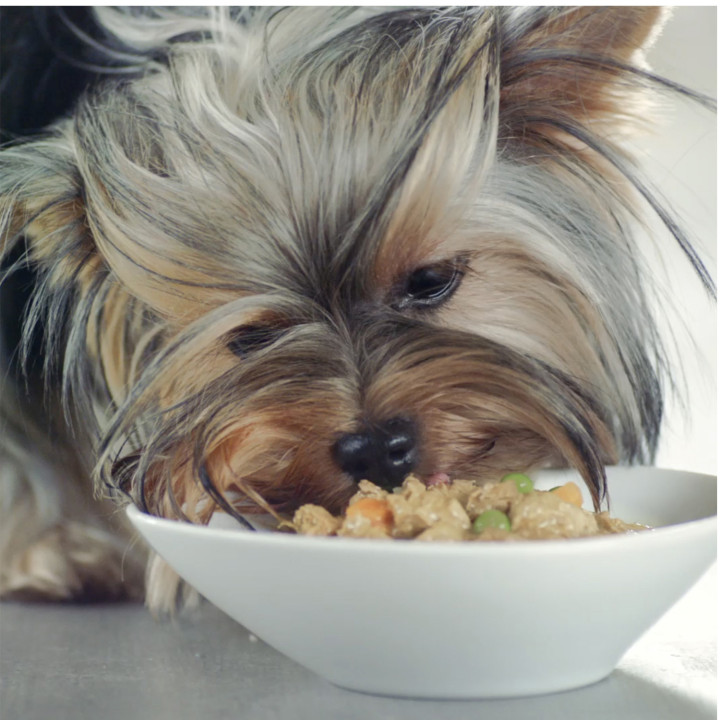 Comida húmeda PURINA ONE Mini Perro Adulto Pollo y Cordero en Salsa - Kompymascotas